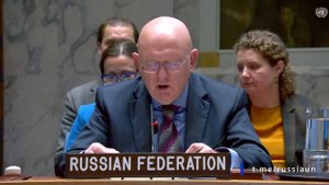 Выступление В.А.Небензи на заседании Совета Безопасности ООН по ситуации в Абьее, Нью-Йорк 5 ноября