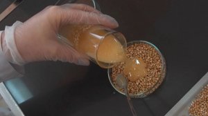 Грильяж из гречки изготовили в Беларуси