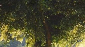 Слушать рассказ  -  Удивительные истории из жизни - Жизнь до и после тебя...