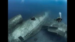 .... Саргассово море - Что мы знаем о нём...