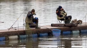 Поимки форели !!!