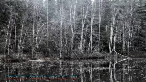 Беседа по средам 5 ноября 2025