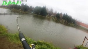 Светлые Горы 03.11.25