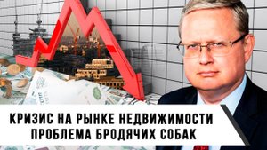 Михаил Делягин | Кризис на рынке недвижимости. Проблема бродячих собак