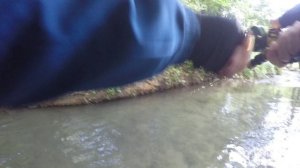 Очередная рыбалка на форель.