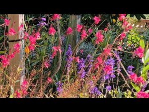 16-17 октября.Шикарная погода/ День хлеба: Тыквенный "БОСОЛЕЙ" и Французские Багеты на Пулише