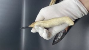 Обсидиановый клинок с рукоятью из рога оленя 27 см