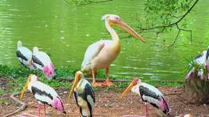 СПОКОЙНАЯ И РАССЛАБЛЯЮЩАЯ МУЗЫКА ДЛЯ ОТДЫХА И ЗАСЫПАНИЯ