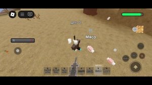 99 ночей на диком западе