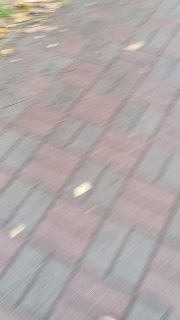 заходи на стрим смотреть онлайн