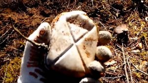 АРХИВ. Коп по войне, или успеть за 60 минут.