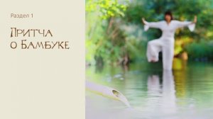 Притча о Бамбуке | BAMBOOstyle для УСПЕШНОГО человека