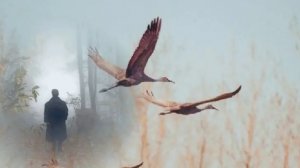 С кем Он сейчас общается 🤔 с кем встречается и с какой целью 💥 
#таро#расклад#гадание