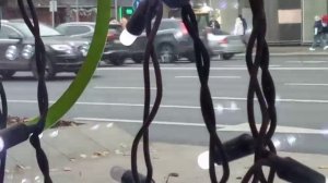 Посмотрю на жизнь через щёлочку окна. Узнаете?