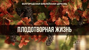 Плодотворная жизнь || Ерик Радикович