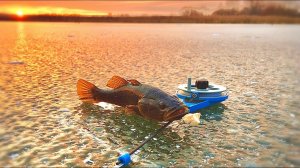 Ловля Ротана со льда зимой! Зимняя рыбалка на ротана по первому льду