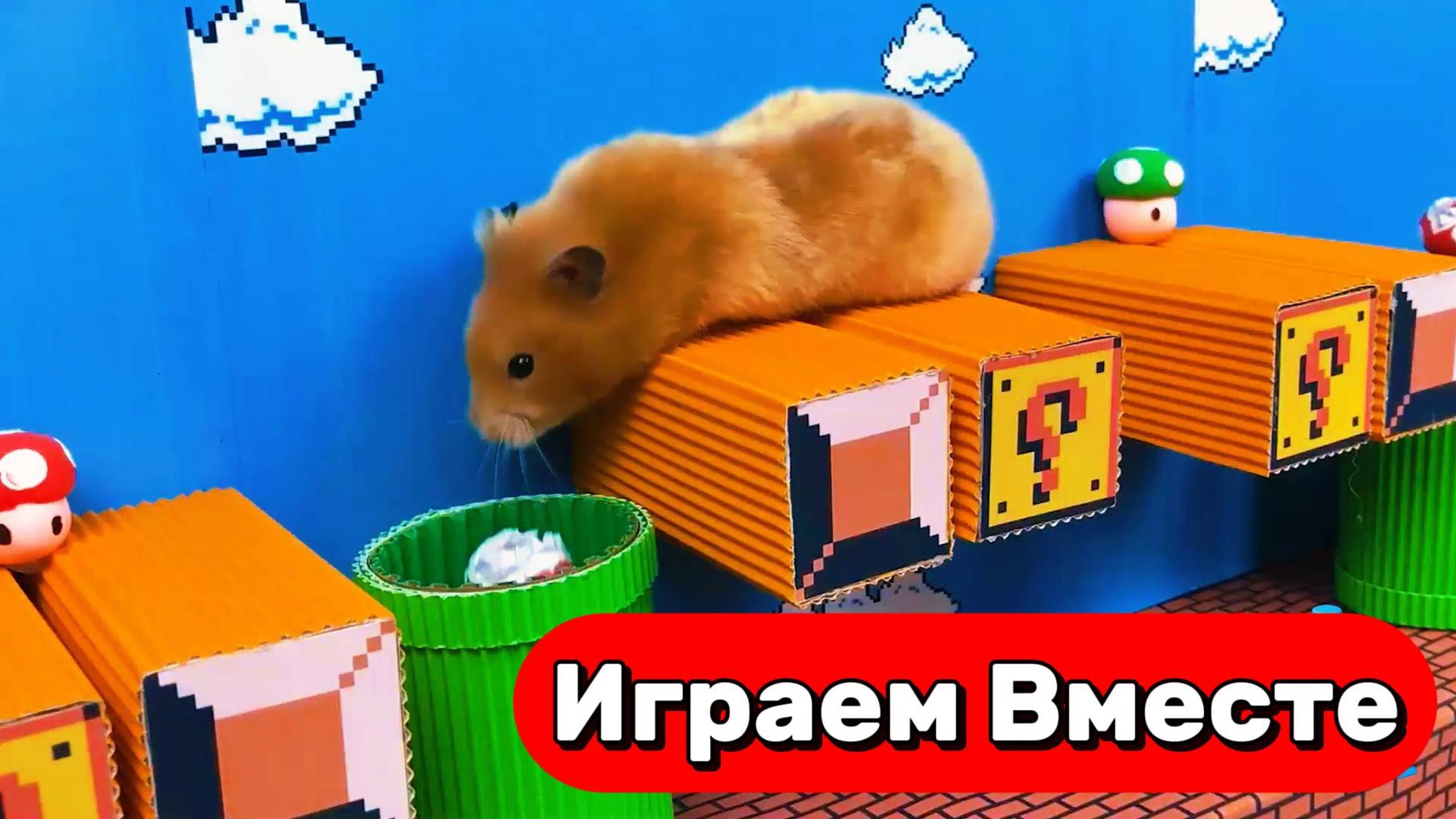 УМНЫЙ ХОМЯК ВЫБИРАЕТСЯ ИЗ СЛОЖНОГО ЛАБИРИНТА С ЛОВУШКАМИ И МОНСТРАМИ 🐹 ВИДЕО ДЛЯ ДЕТЕЙ