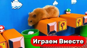 УМНЫЙ ХОМЯК ВЫБИРАЕТСЯ ИЗ СЛОЖНОГО ЛАБИРИНТА С ЛОВУШКАМИ И МОНСТРАМИ 🐹 ВИДЕО ДЛЯ ДЕТЕЙ