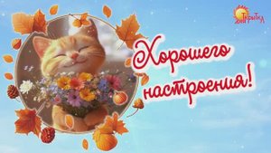 Пожелание хорошего настроения \ открытка доброе утро \ хорошего дня