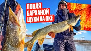 ЛОВЛЯ БАРХАНОЙ ЩУКИ НА ОКЕ! ТРОФЕЙНАЯ РЫБАЛКА!