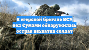 В егерской бригаде ВСУ под Сумами обнаружилась острая нехватка солдат