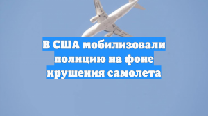 В США мобилизовали полицию на фоне крушения самолета