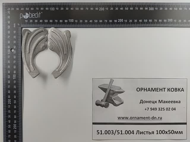 51.003/51.004 Листья 100х50мм.mp4