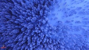 Свет приглушён, но воздух кажется густым