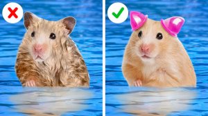 🐹 Радужный домик и лабиринт для хомяка из картона 🌈