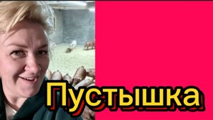 Снова всё слизала.Деревенский дневник.