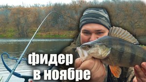 Рыбалка на фидер поздней осенью 2025. Что можно поймать в Ноябре? В шоке от улова🎣