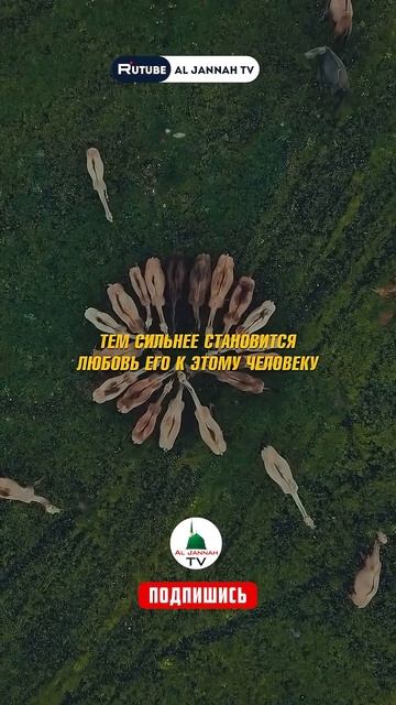 Секрет любви к Аллаху! Часть 3 смотреть онлайн