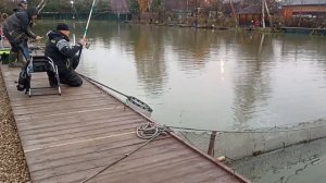 до запуска 2