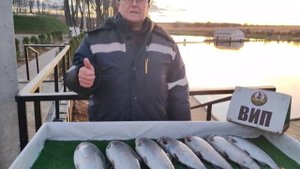 -2371327226831240134