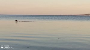 Пляж Черепашка в Керчи, 23 сентября.