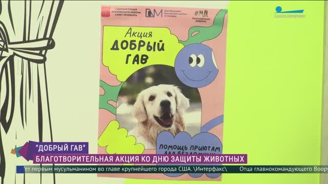 «Добрый Гав»: масштабная благотворительная акция в Петербурге