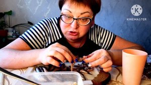 Селедку жру,килькой закусываю😉/Пожремс🤣🤣🤣