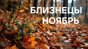 БЛИЗНЕЦЫ. ТАРО ПРОГНОЗ НА НОЯБРЬ