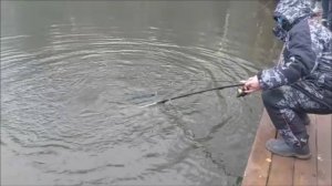 Туманное утро на спорт-зоне. Клёвое место, Лосиный остров.