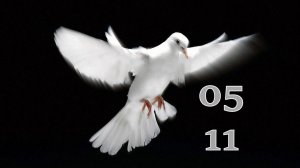 5.11.2025 - Прямая трансляция ст.Елизаветинская