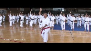 Международный семинар по Джиу-Джитсу в Румынии