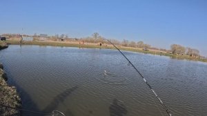 Реальная рыбалка по весенней форели на платнике в д. Поярково весной 2025г.