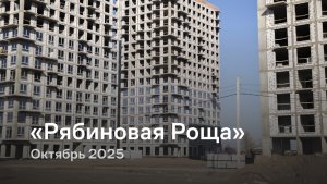«Рябиновая Роща» / октябрь 2025