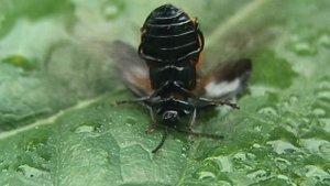 Доминутки ))) Если долго мучиться...