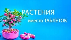 Растения вместо таблеток