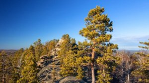 день народного единства