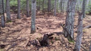 Номинация ТУРИЗМ: 2 место «Бухта Гнилая» – Ольга Макарова