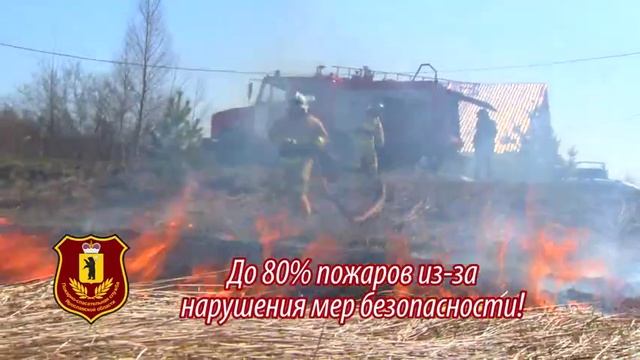 Пал сухой травы смотреть онлайн