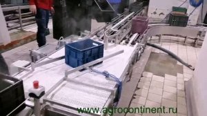 Мойка ящиков, линия 500 шт. в час