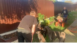 ВЛОГ 66///МЫ ВСЕ ГОТОВИМ ПО НЕМНОГУ, ЧЕГО НИБУДЬ И КАК НИБУДЬЮ НА УЧАСТКЕ ВСЕ ЗАБРОШЕНО .БЕЗДЕЛЬНИКИ